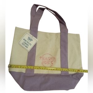 NWT Trader Joe's Mini Pastel Canvas Tote Bag- Mint Green w/Turquoise Embroidery